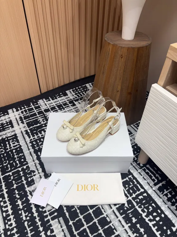 Dior Shoe 